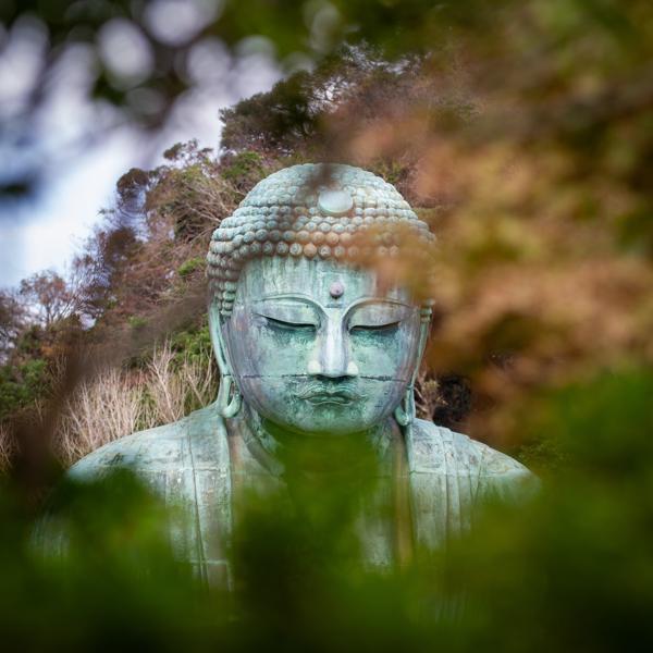 The great Buddha at Kotoku-in in Kamakura was impressive to see in person.